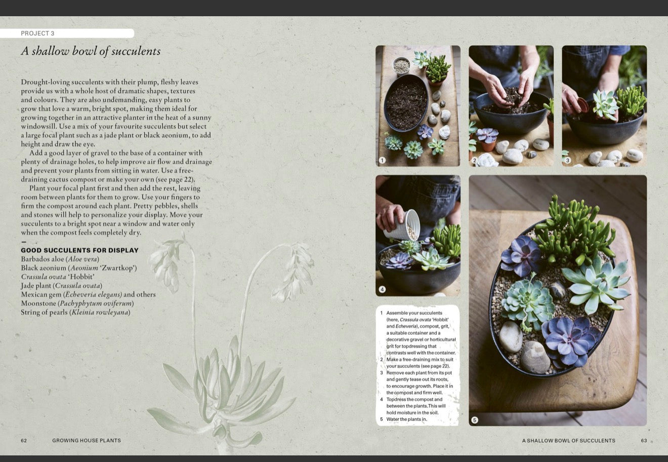 Kew Gardens Guide to growing houseplants