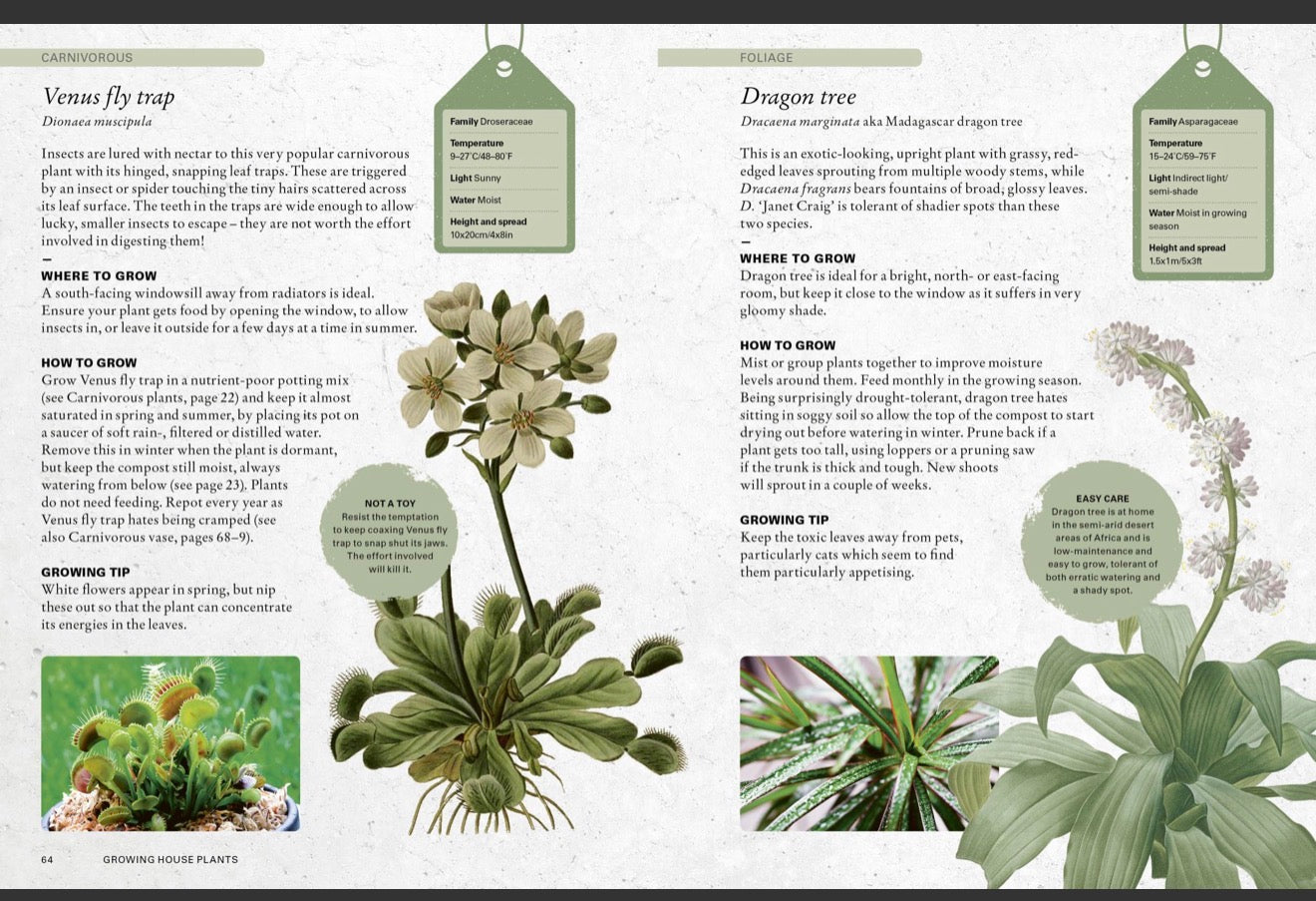 Kew Gardens Guide to growing houseplants