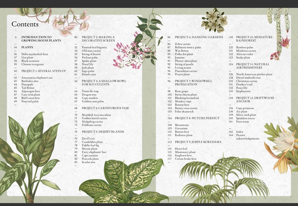 Kew Gardens Guide to growing houseplants