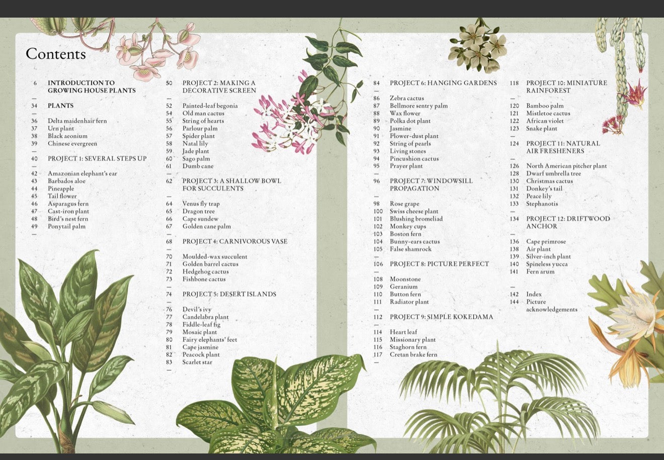 Kew Gardens Guide to growing houseplants