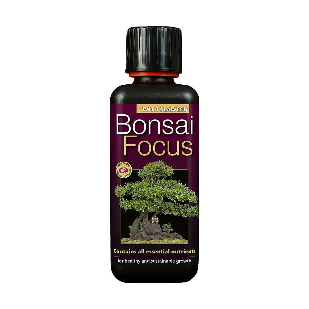 Bonsai Focus
