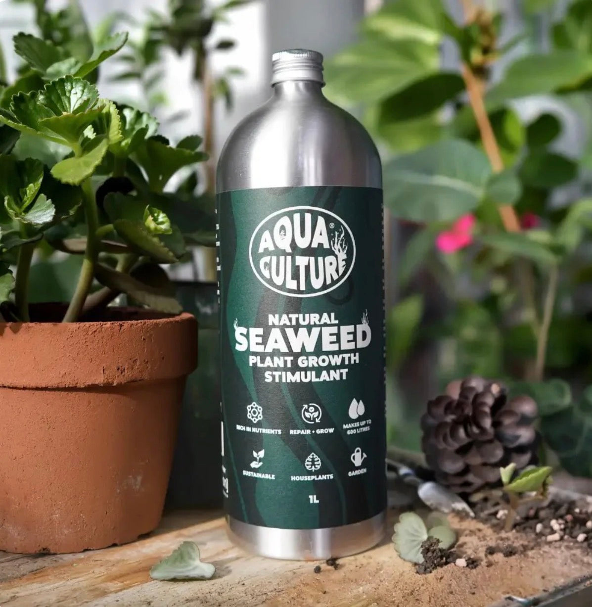 Aqua Culture Organic Seaweed Biostimulant 1L - Concentrated Liquid Plant Feed