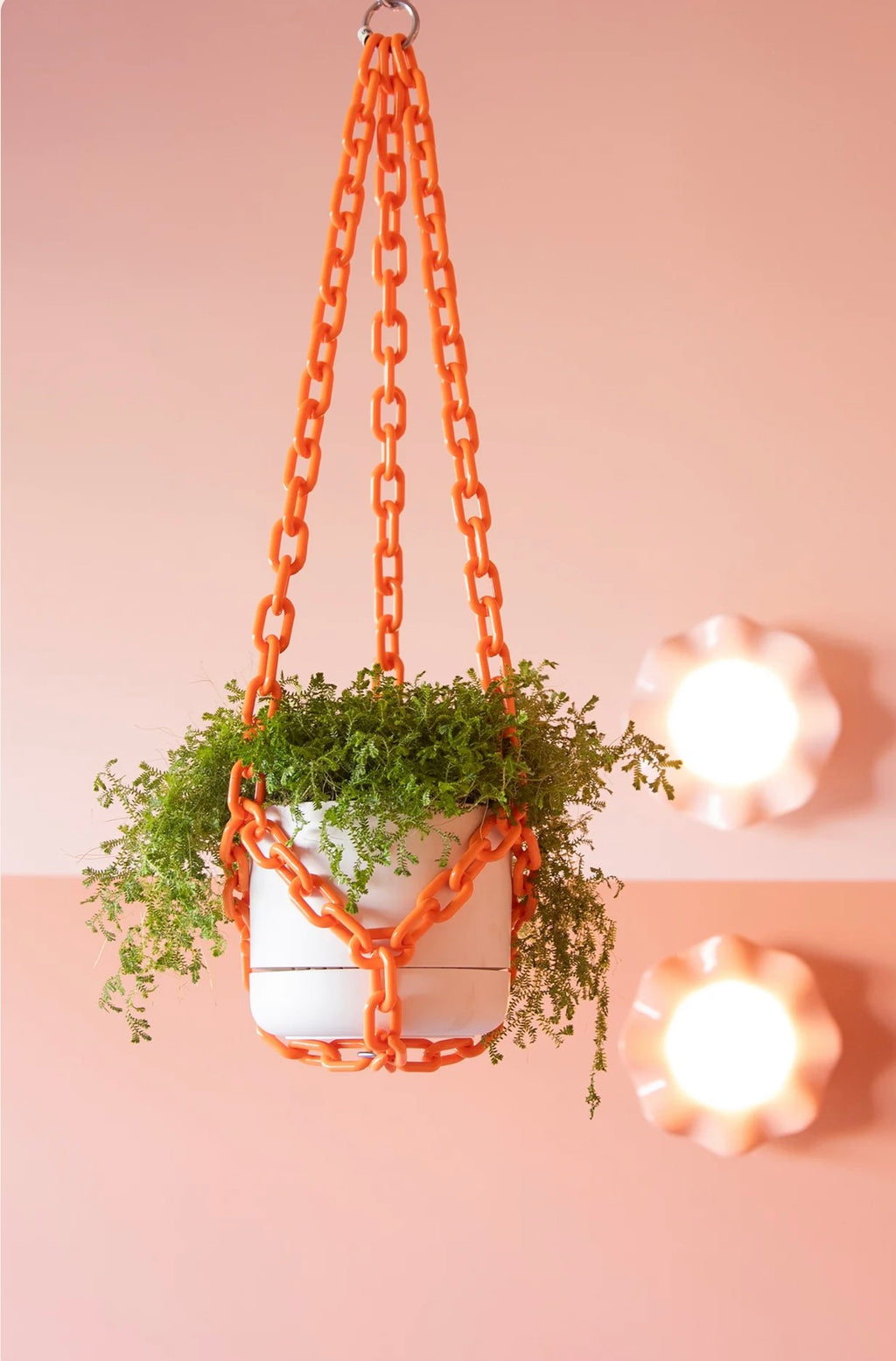 Woljam Plant Chain Orange