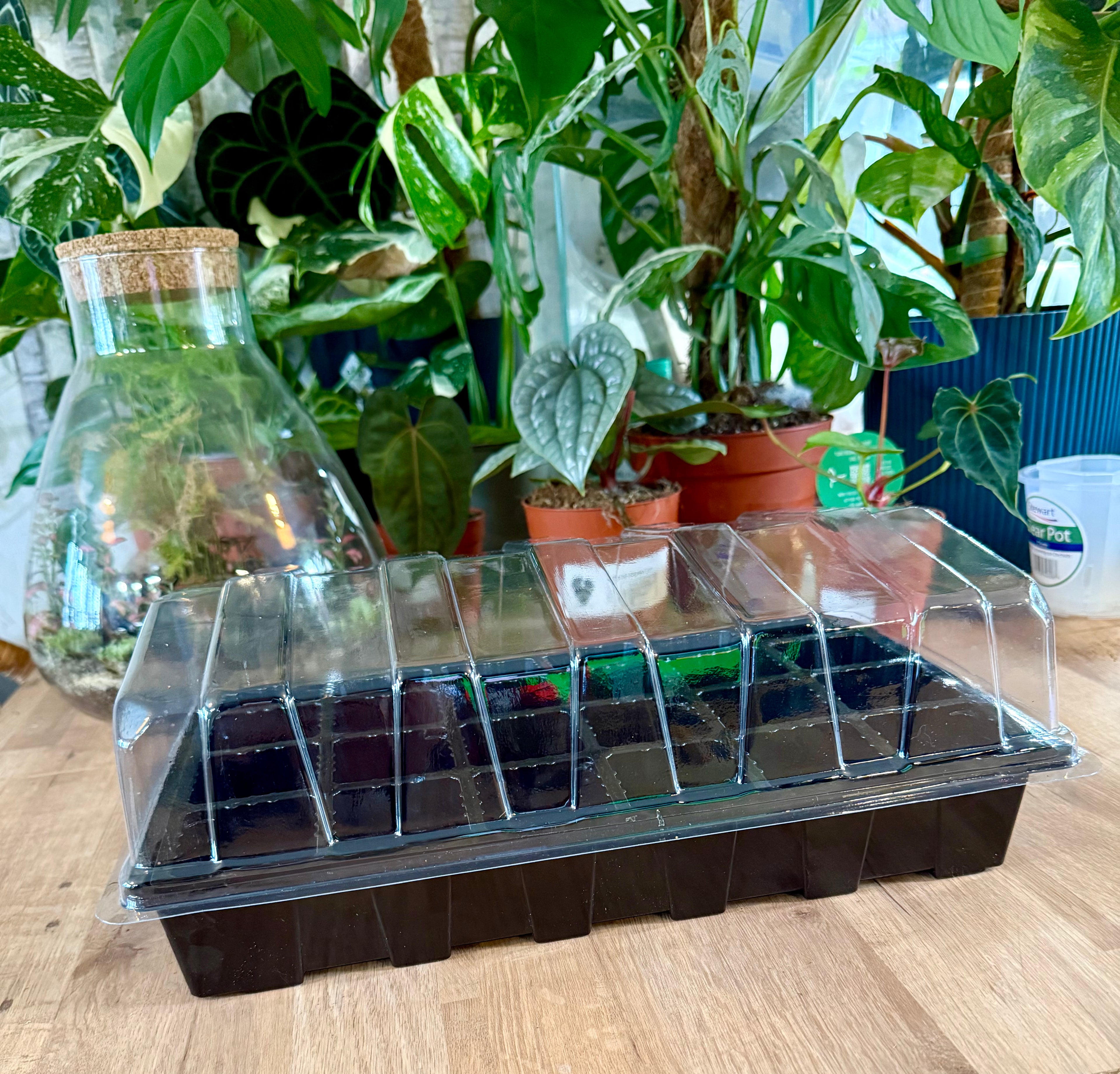 Bloomsiren propagation kit