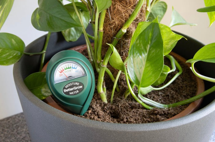 BetterGrow Moisture Meter