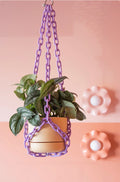 Woljam Plant Chain Lilac