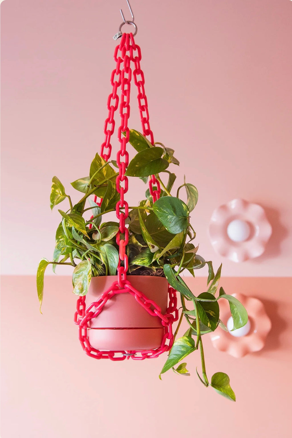 Woljam Plant Chain Raspberry
