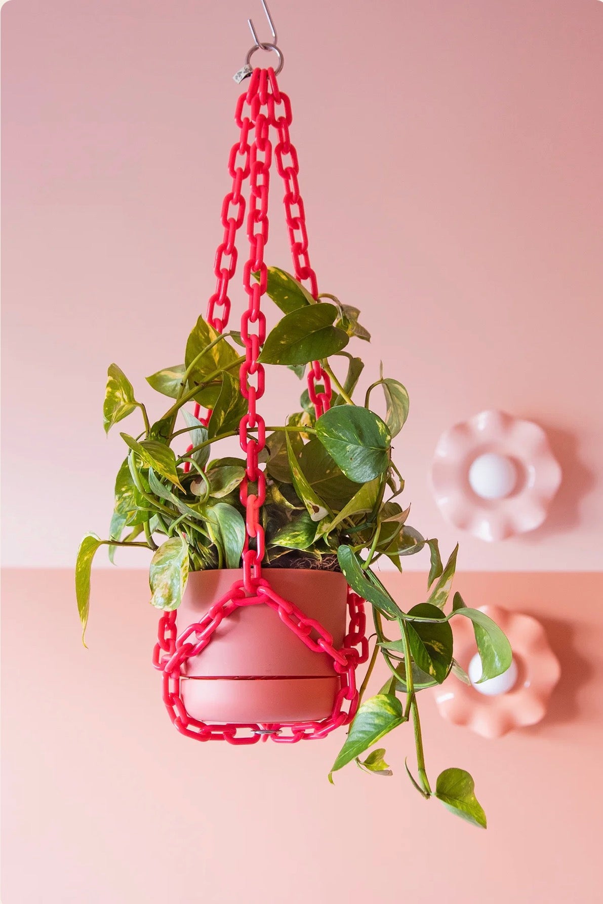 Woljam Plant Chain Raspberry
