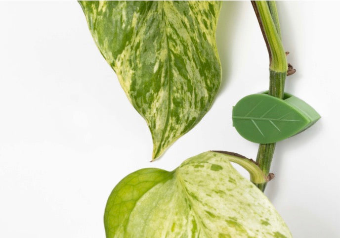 BetterGrow Leaf Clips