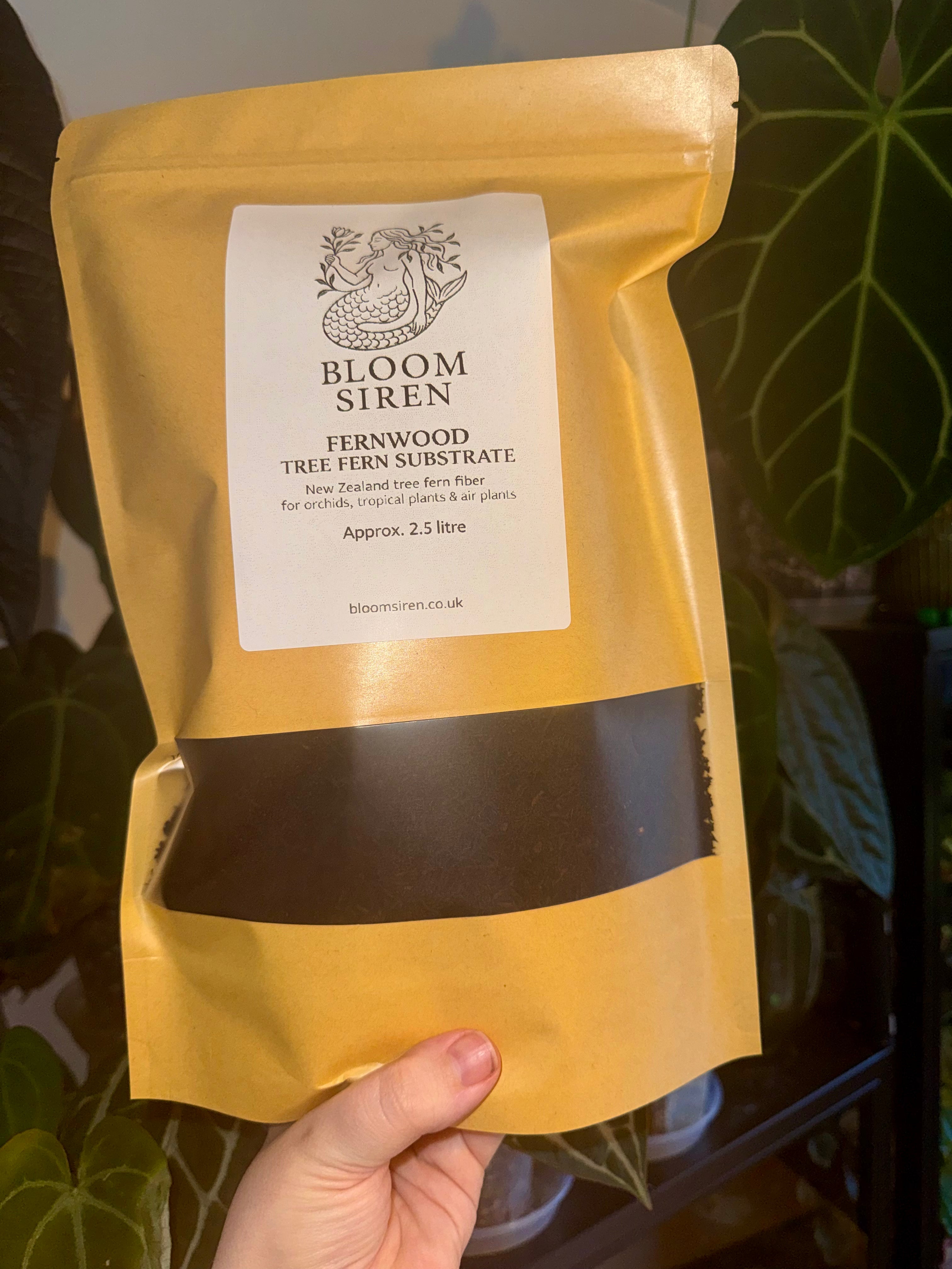 Bloom Siren Fernwood Tree Fern substrate 2.5 litre approx