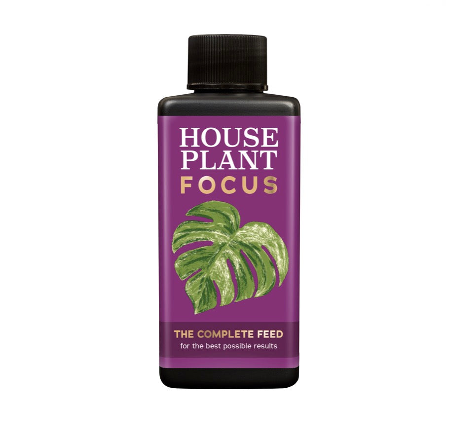 Houseplant Focus 300ml