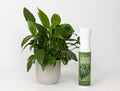 Organic Focus Leaf Shine