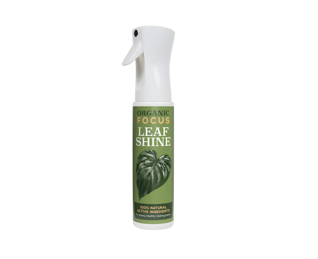 Organic Focus Leaf Shine