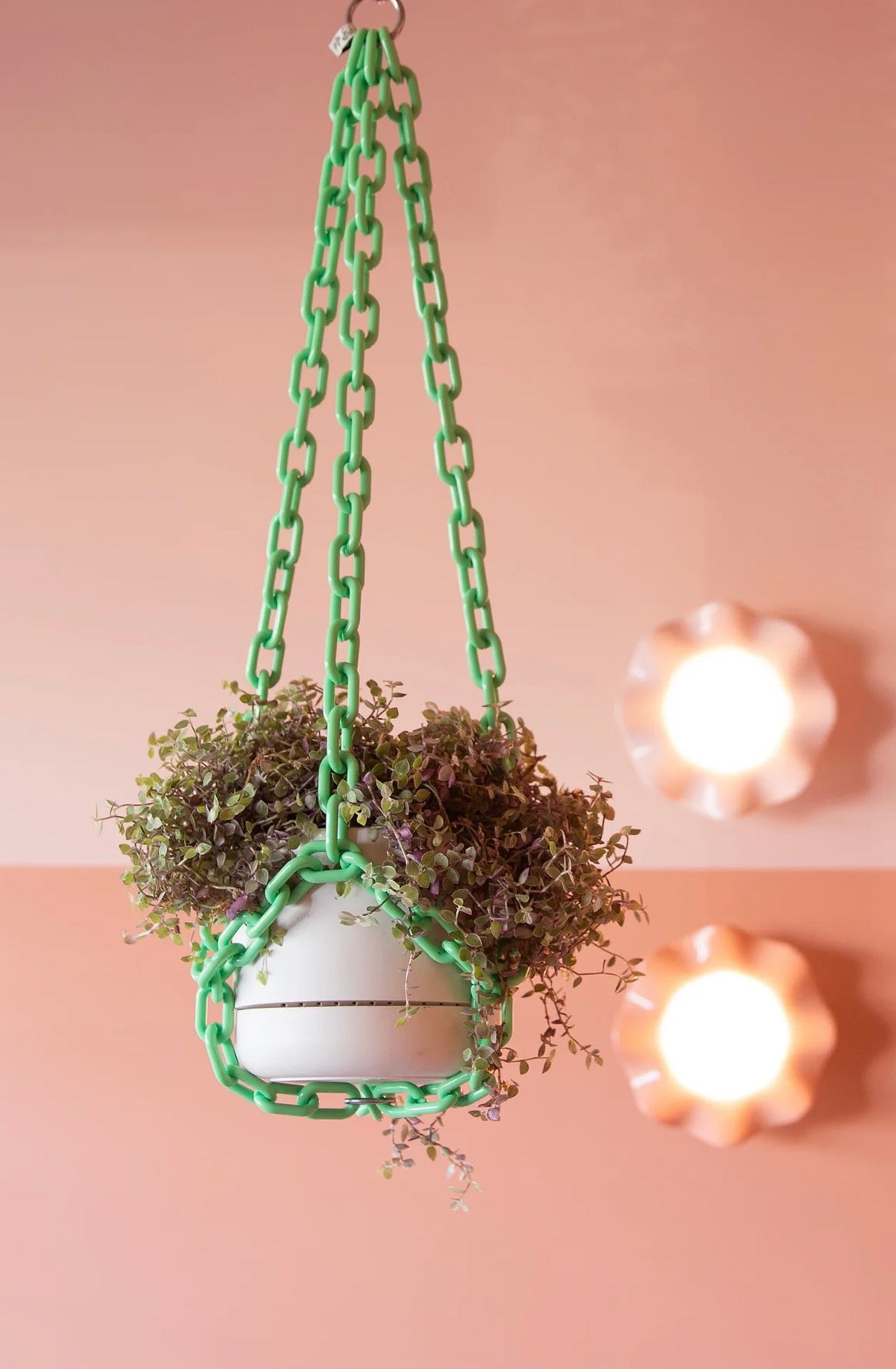 Woljam Plant Chain Mint