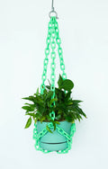 Woljam Plant Chain Mint