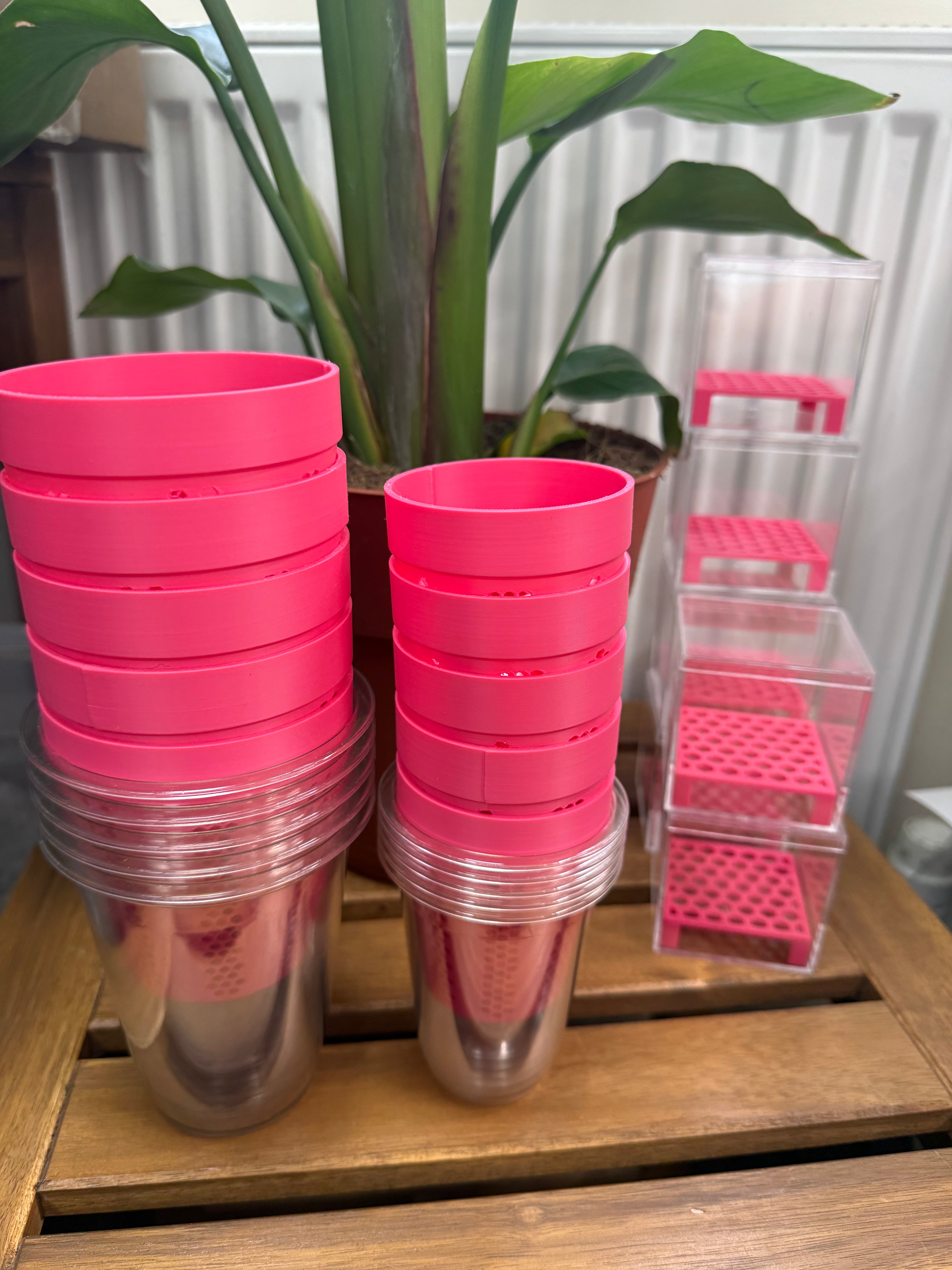 Order for Sarah justonemoreleaf
