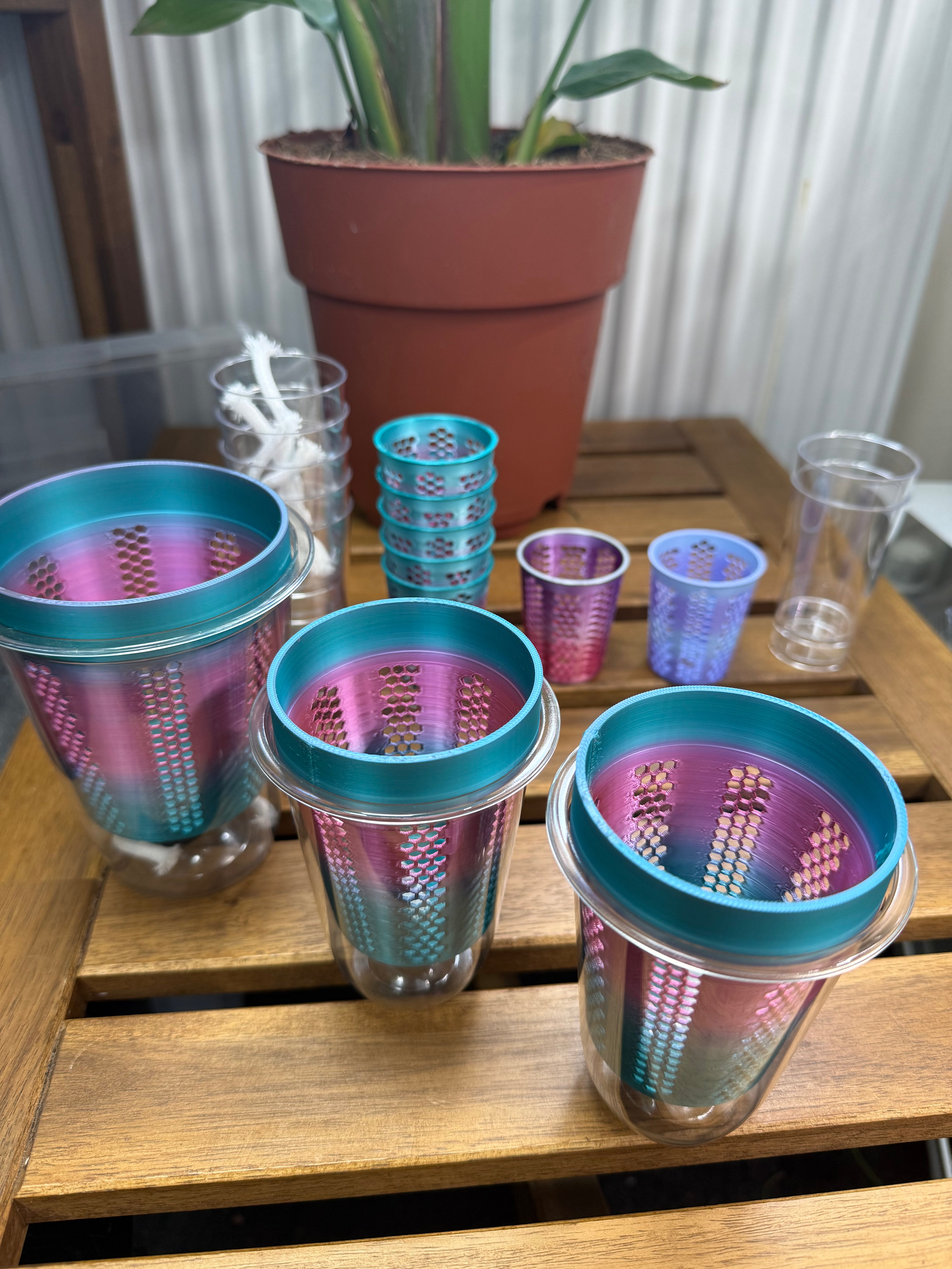 PLP Sarah order