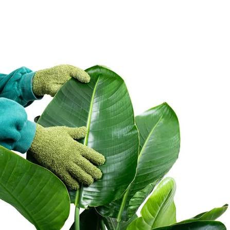 Zero In Dust & Shine Houseplant Gloves