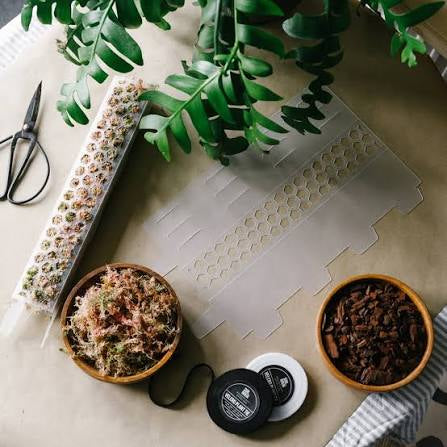 soil ninja moss poles