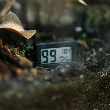 Hygrometers [Twin Pack]