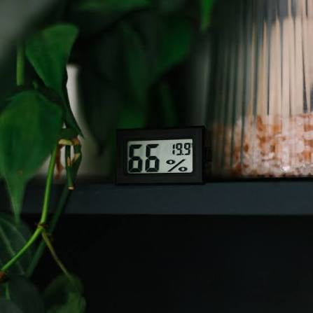 Hygrometers [Twin Pack]