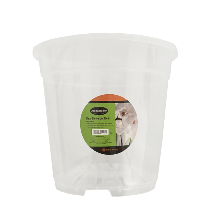 Ambassador Clear Pot