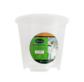 Ambassador Clear Pot
