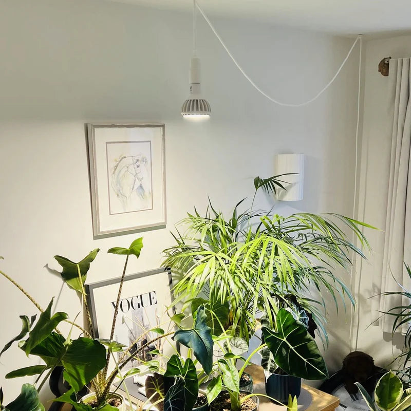 Grow Gang Pianta Grow Light LED Bulb