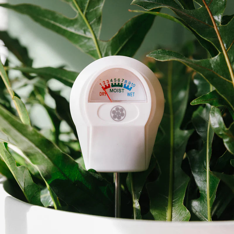 Grow Gang Soil Moisture Meter