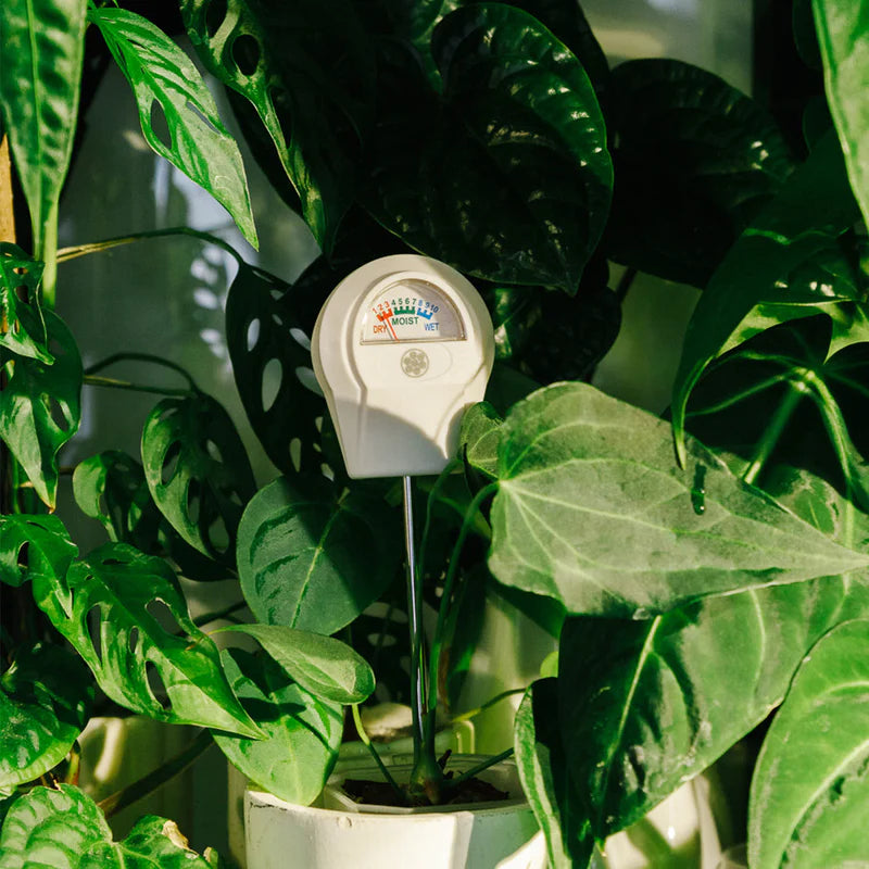Grow Gang Soil Moisture Meter