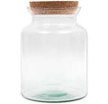 Terrarium Bose
