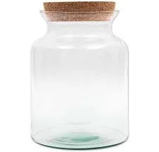 Terrarium Bose