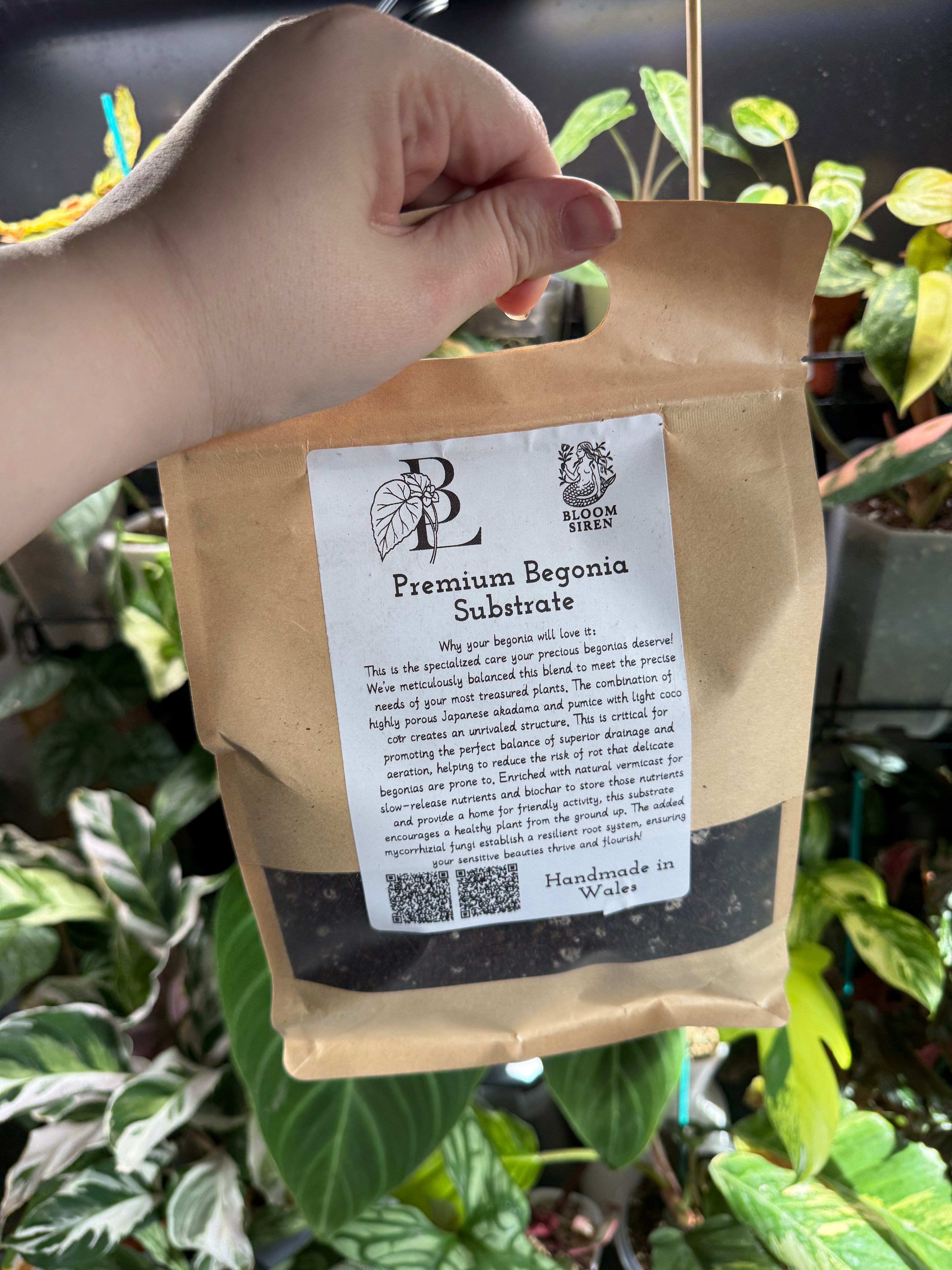Begonia Lady’s Premium Begonia Substrate