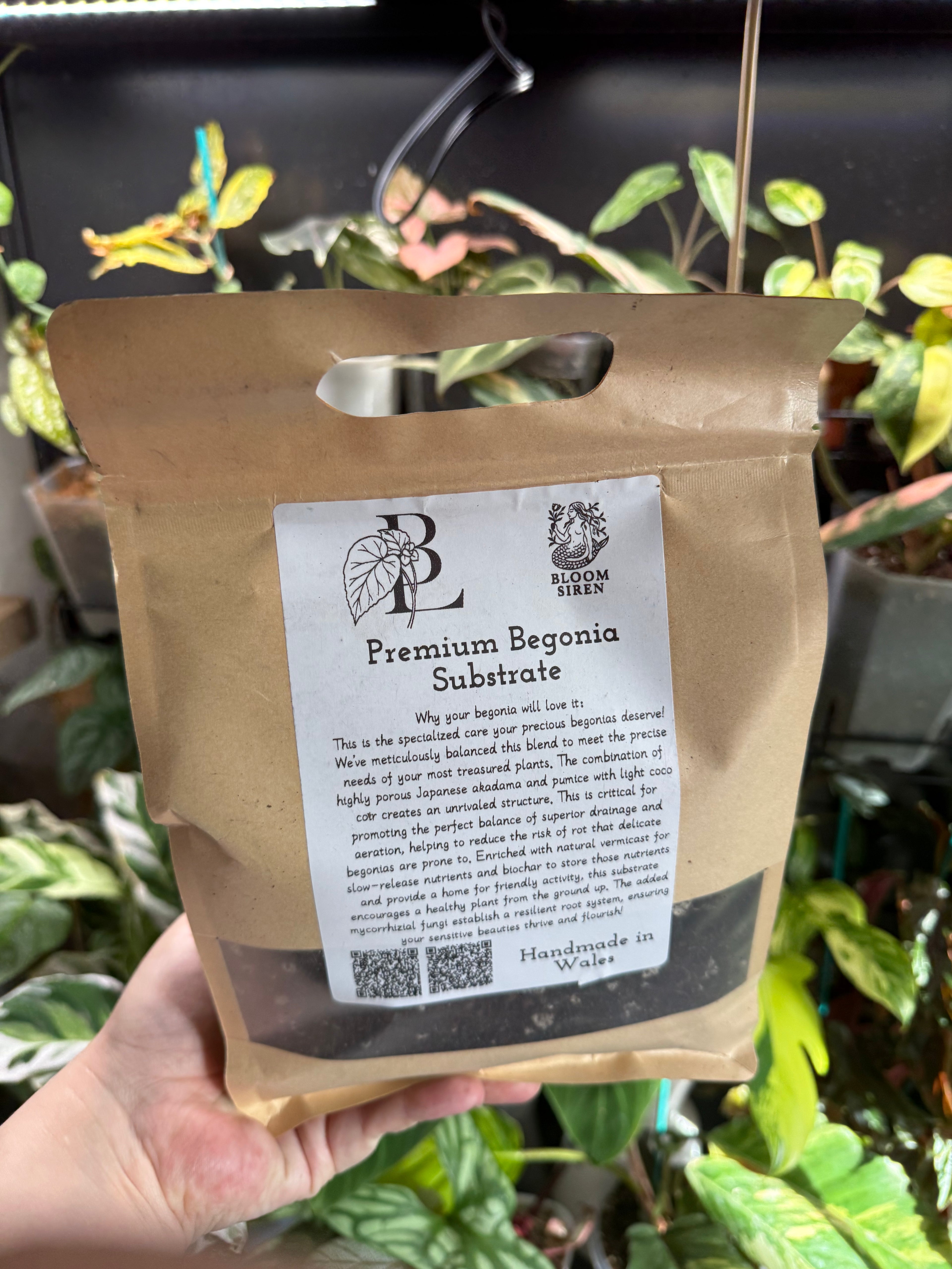 Begonia Lady’s Premium Begonia Substrate