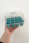 12 cell propagation tray designed by grown by Marcus (5 colours available)