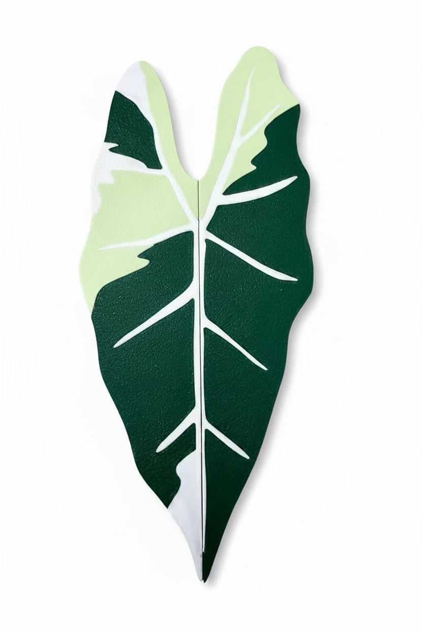 Ikea Plant Cabinet Handles for Rudsta and Milsbo by Grown by Marcus monstera Alocasia