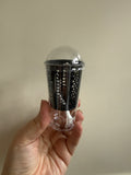 5 Corm/seedling cup by grown by Marcus (set of 5 , 5 of same chosen colour)