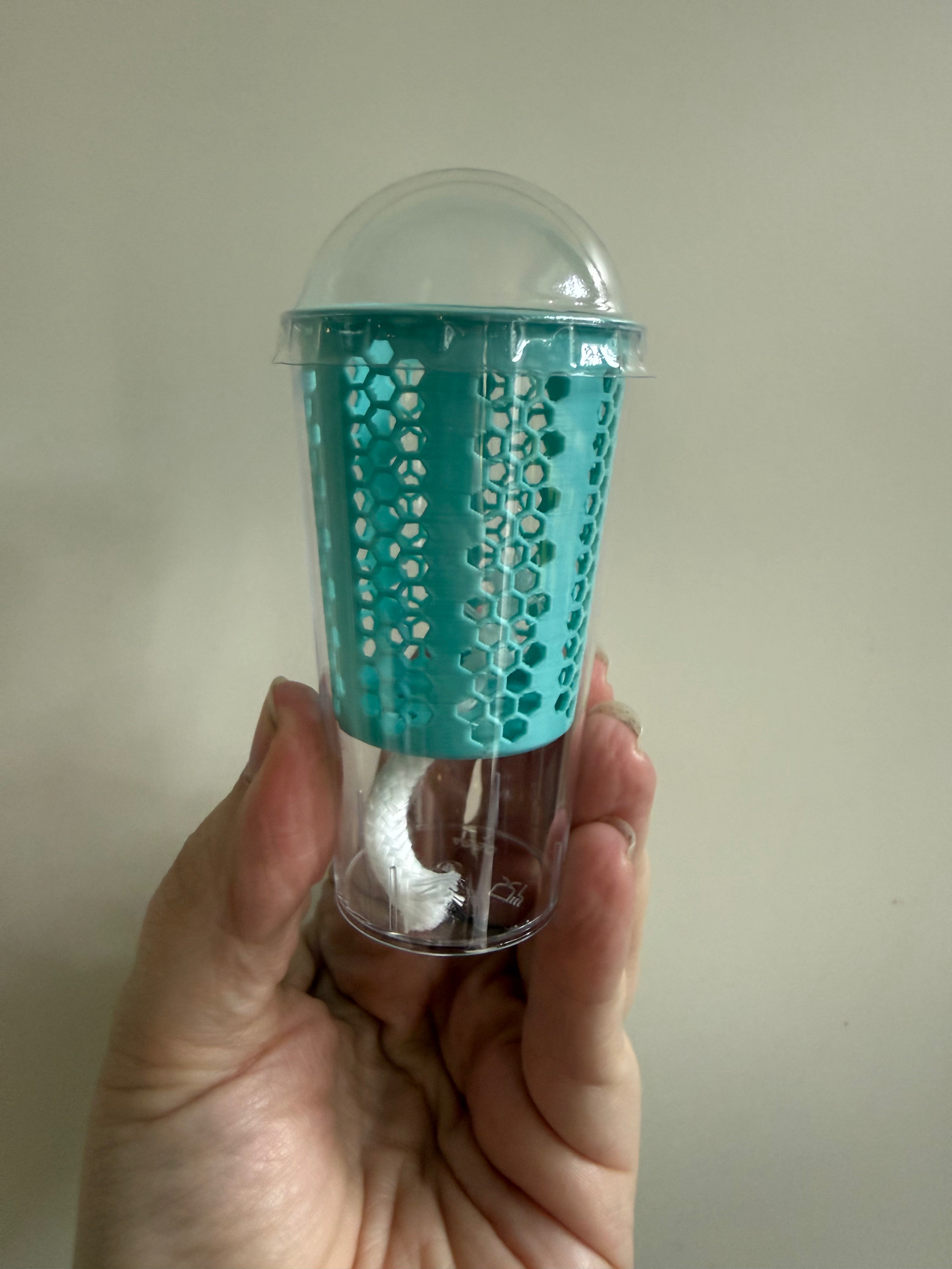 Corm/seedling cup by grown by Marcus (single)