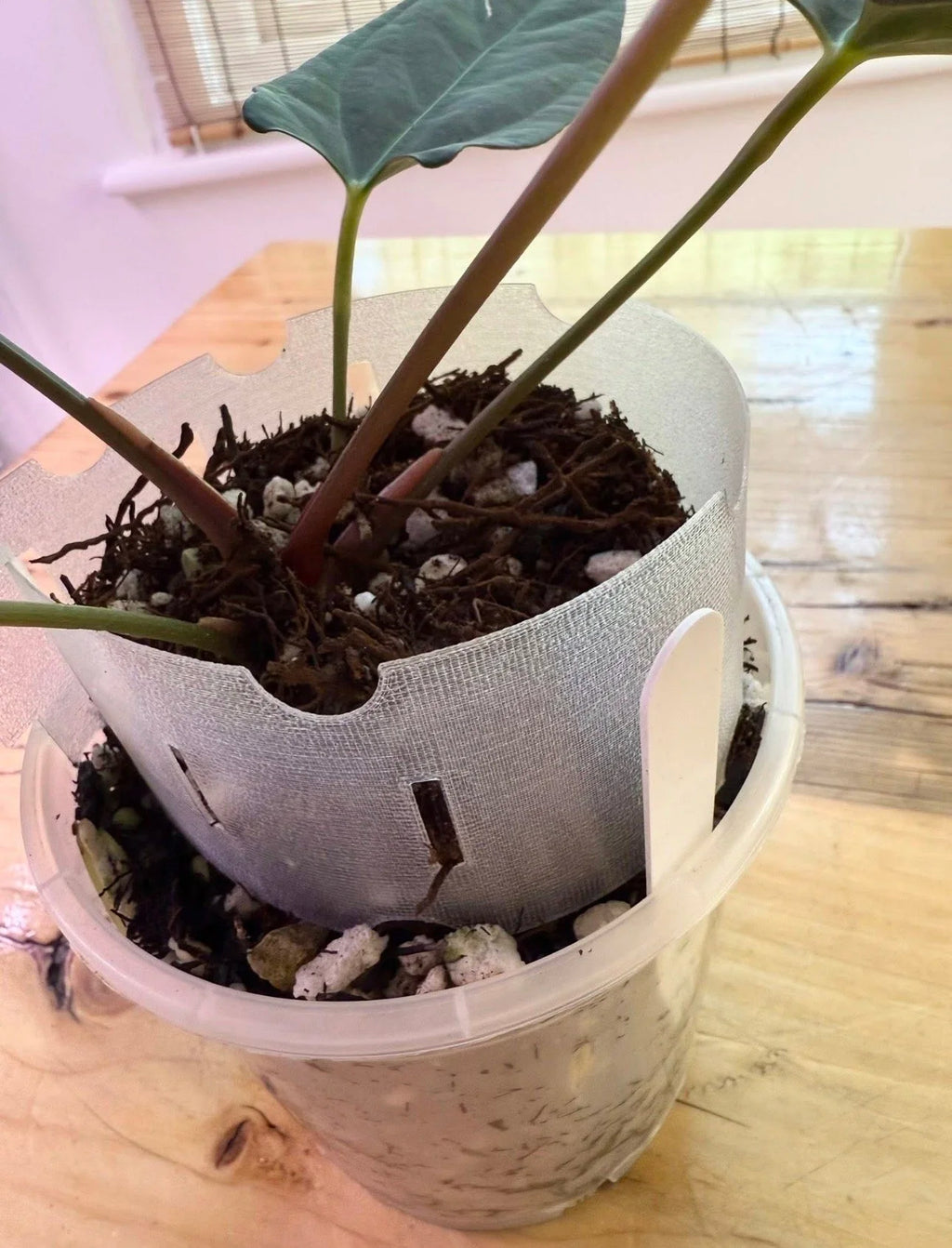 Plant pot extender Clear by grown by Marcus