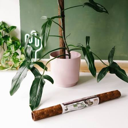 KRATISTE biobased Climbing Pole