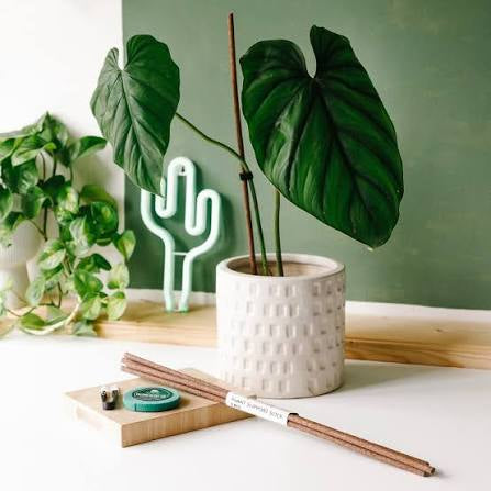KRATISTE
Plant Support Stick(pack contains 5 sticks)