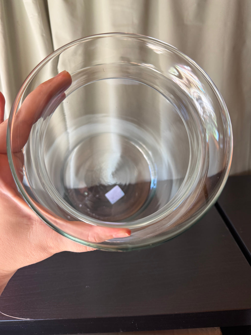 Open glass terrarium 35cm (cat)