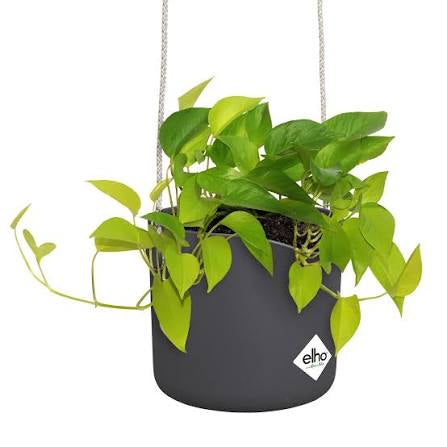 Elho B .for Swing Hanging 18cm Plant Pots