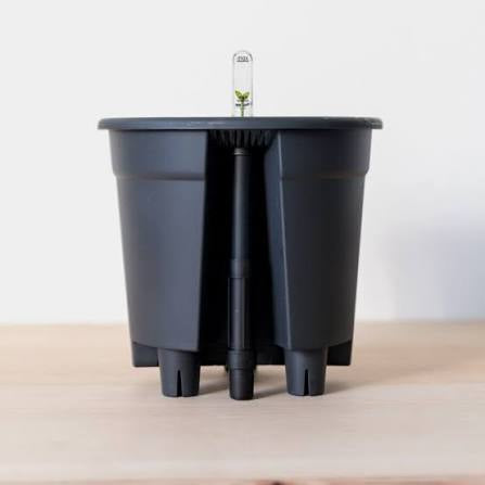 Elho Self Watering Insert for pots
