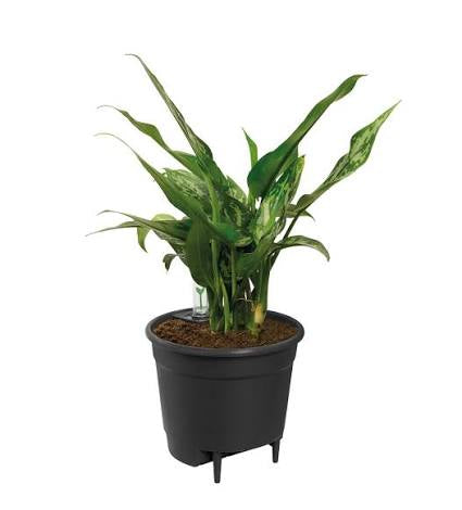 Elho Self Watering Insert for pots