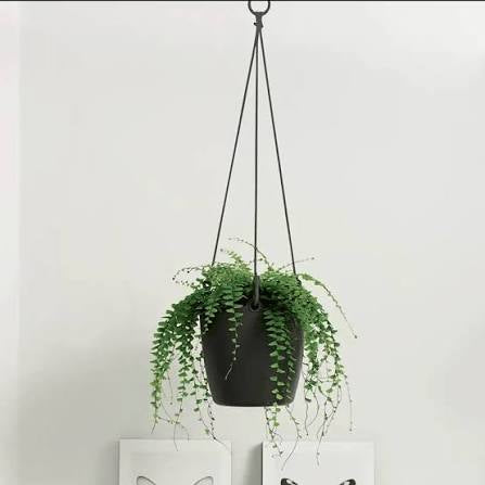 Elho Brussels hanging basket