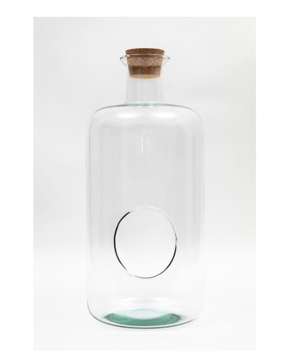 Terrarium Bovey – Large Glass Terrarium Vase