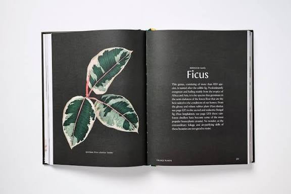 Plantopedia-The Definitive Guide to Houseplants (introductory price)