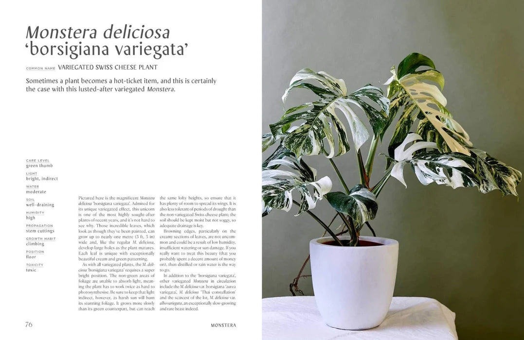 Plantopedia-The Definitive Guide to Houseplants (introductory price)