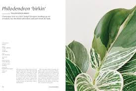 Plantopedia-The Definitive Guide to Houseplants (introductory price)